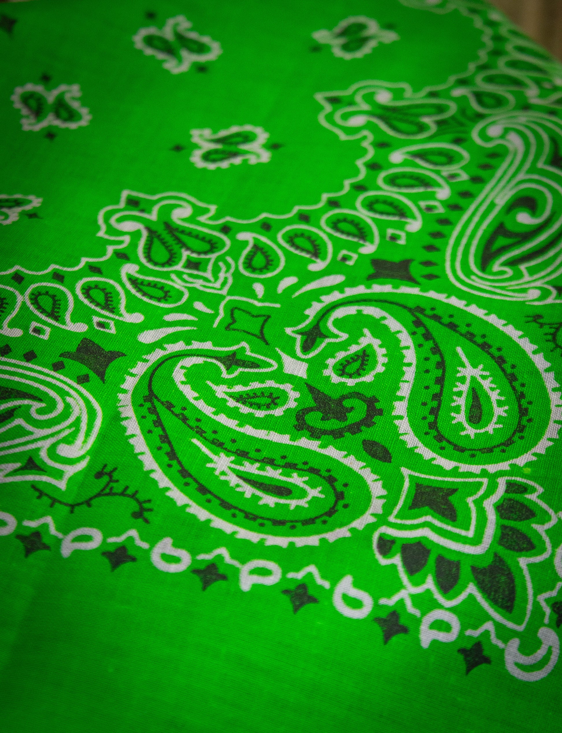 Vintage 80s Hav-A-Hank Neon Green Paisley Bandana