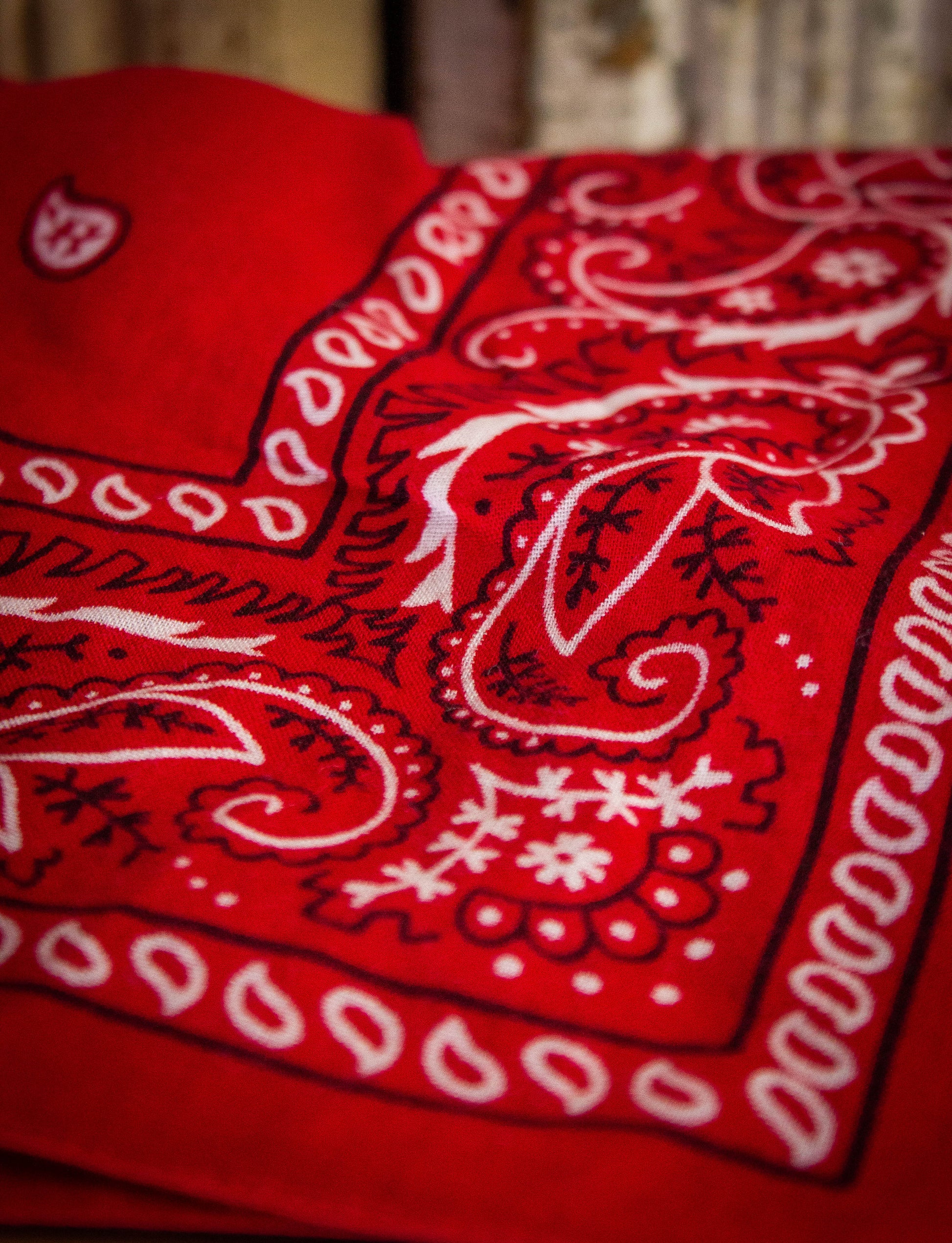 Vintage 70s Fast Color Red Paisley Bandana